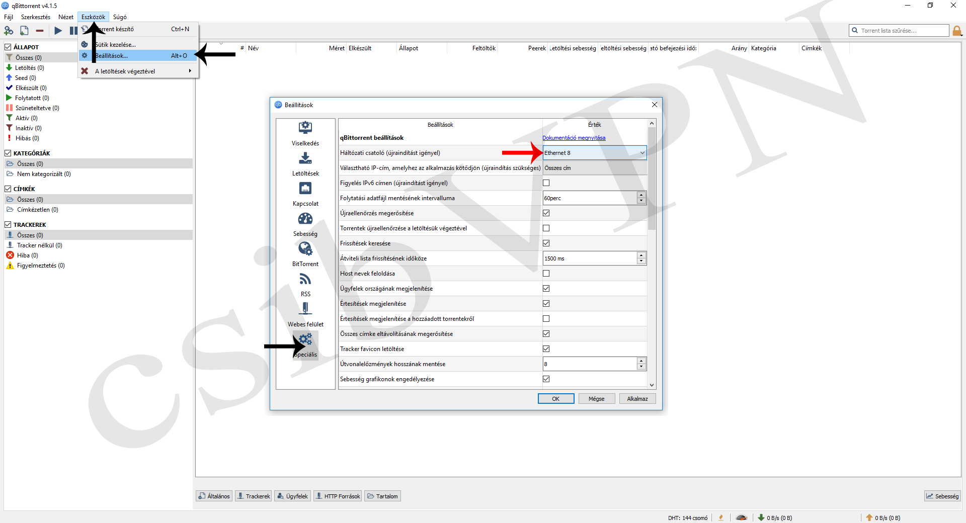 qBittorrent Tutorial